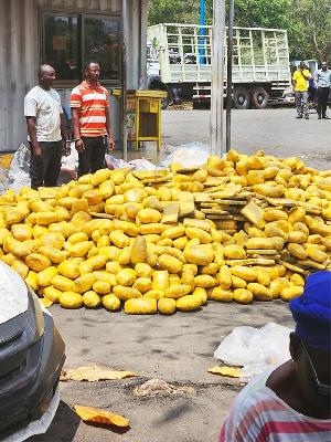 Two Arrested Over GH¢150,000 Bribery Attempt in Mega Tema Drug Bust