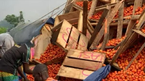 Ghanaian Tomato Traders Caught in Terror Attack in Burkina Faso, Government Confirms