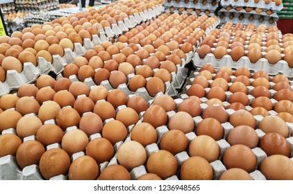 Ghanaian Poultry Farmers Tackle Egg Glut with Innovative Marketing Solutions