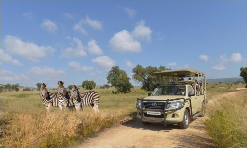 The Bothongo Rhino & Lion Nature Reserve Offers the Perfect Educational Start to 2026