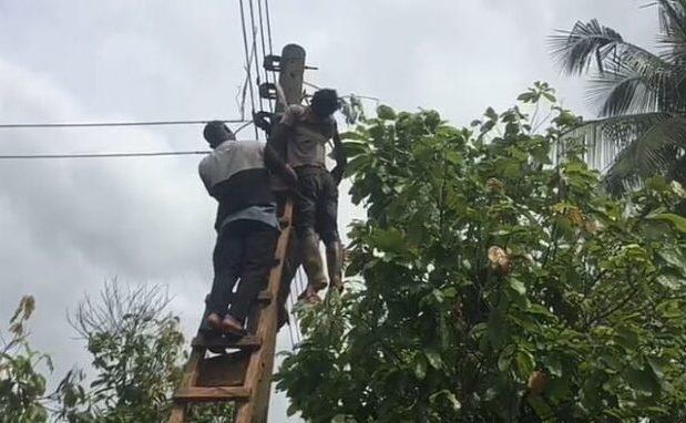 Young Electrician Fatally Electrocuted at Ashaley Botwe School Junction